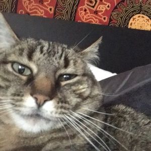 Meet your Posher, Benji